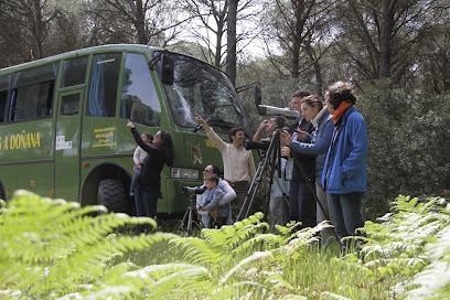 Doñana Reservas y Visitas - Opiniones y Contacto