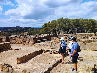 Empordà Unique Tours - Opiniones y Contacto