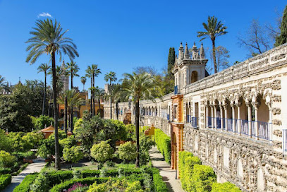 Tour Alcázar Sevilla - Opiniones y Contacto