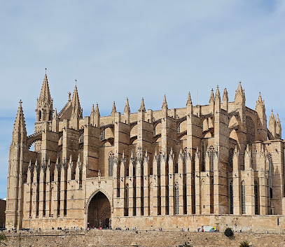 City Sightseeing Palma de Mallorca - Opiniones y Contacto