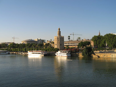 Turismo en Sevilla - Opiniones y Contacto