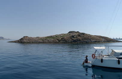 Navegata, Paseos y Alquiler de barcos Cabo de Gata - Opiniones y Contacto