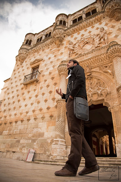 TUGuIA - Visitas Guiadas a Guadalajara, su provincia, Alcalá de Henares y Madrid - Opiniones y Contacto