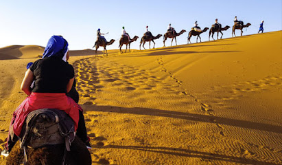 Travel Sahara Morocco - Opiniones y Contacto