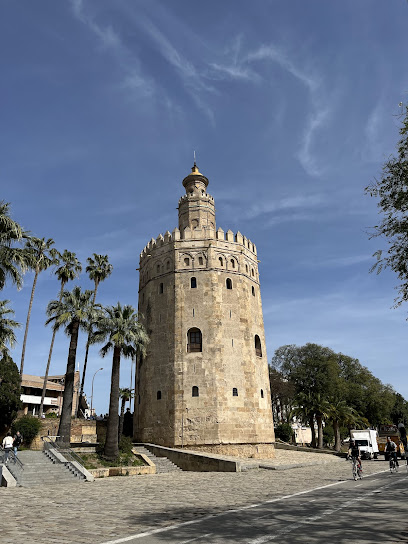 Cruceros Torre del Oro - Opiniones y Contacto