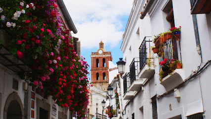 Zafra Tour. Visita guiada Zafra. Zafra Turismo y actividades. Descubre Zafra con guía oficial de Turismo - Opiniones y Contacto