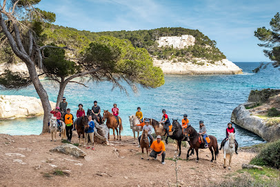 Menorca a Cavall (abierto todo el año )Recorridos por caminos privados y cami de cavalls. - Opiniones y Contacto