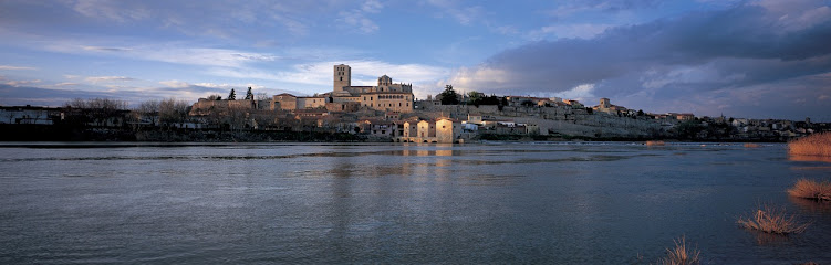 Explora Zamora Free Tour en Zamora y Visitas Guiadas - Opiniones y Contacto