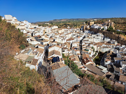 CÁDIZ EN RUTA. Excursiones y visitas guiadas por toda la provincia de Cádiz. - Opiniones y Contacto