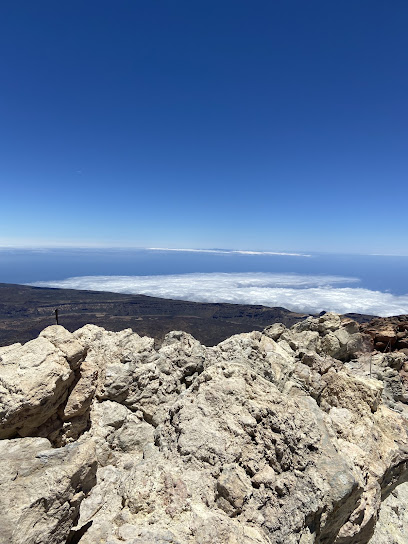 Canarias Nature Guides SL - Opiniones y Contacto