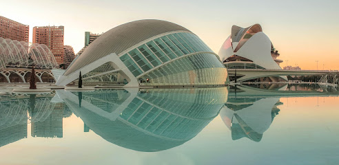 Conociendo Valencia: Visitas guiadas y culturales - Opiniones y Contacto