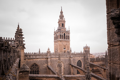 Heart of Sevilla Free Tours - Opiniones y Contacto