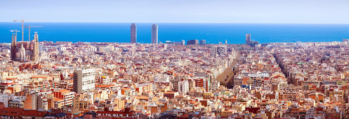 Barcelona Private Tours (Barcelona Top Tours - Barceg) - Opiniones y Contacto